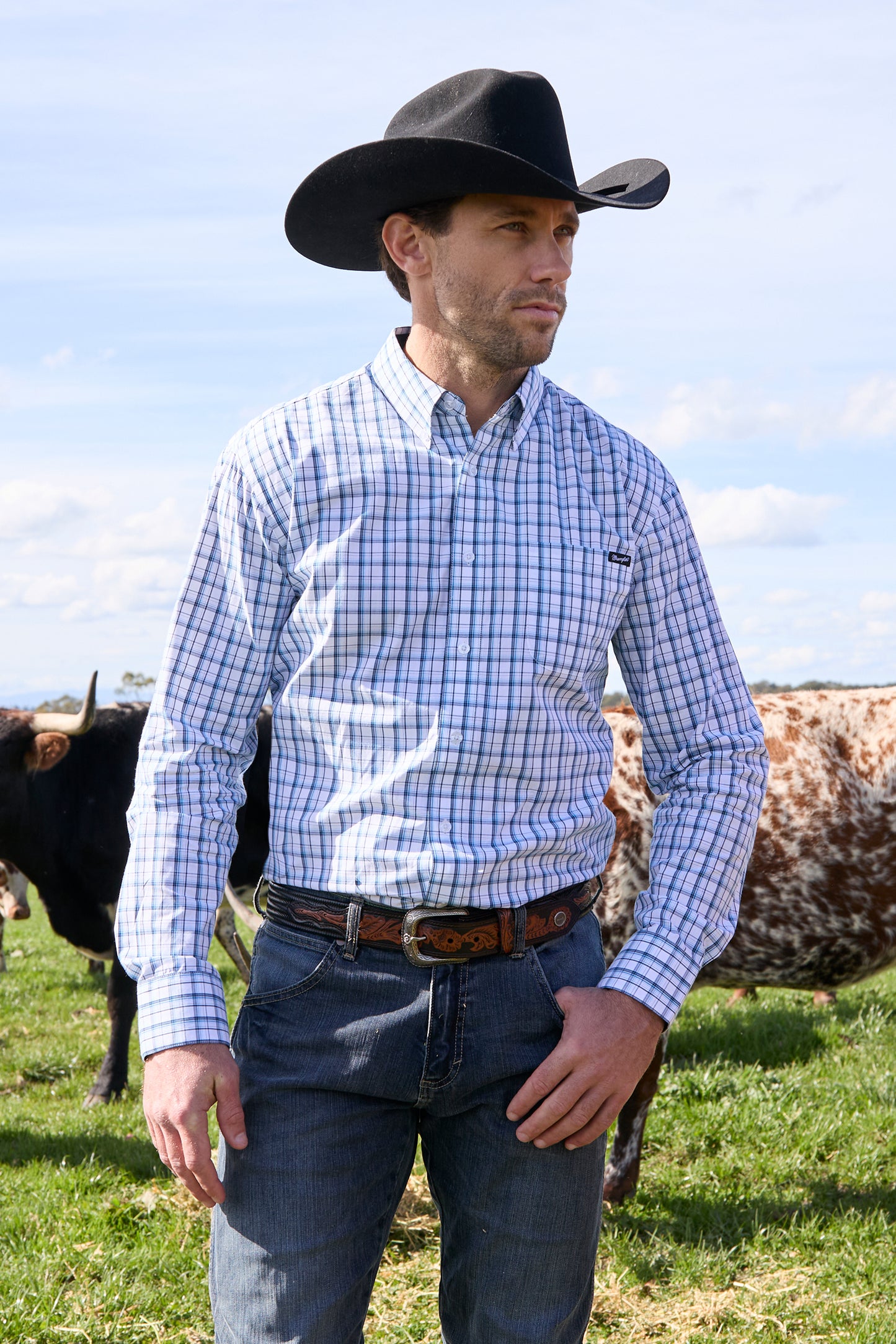 Wrangler Mens Owen Dress Shirt -X5W1115233