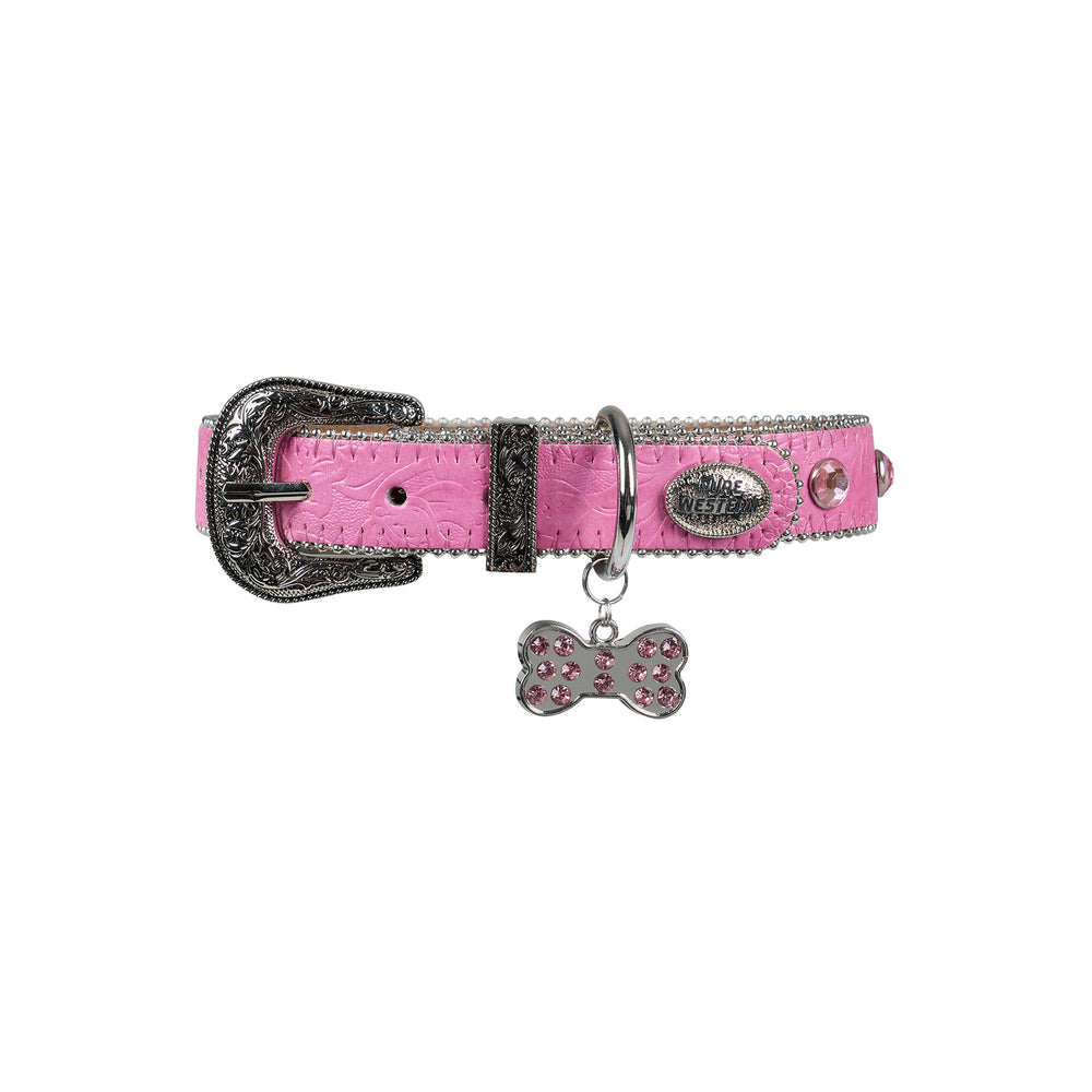 Pure Western Tilly Dog Collar - Pink P5S2946CLR
