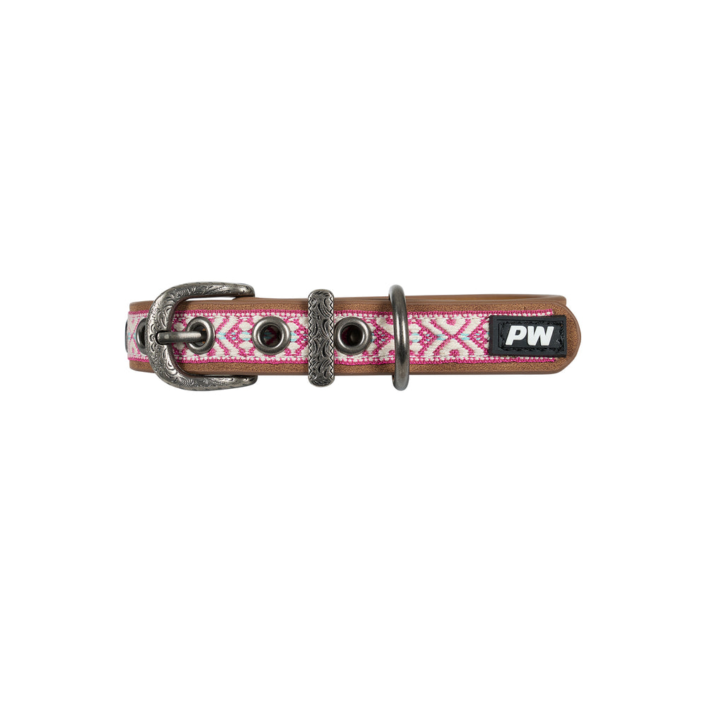 Pure Western Cosmo Dog Collar - Pink P5S2947CLR